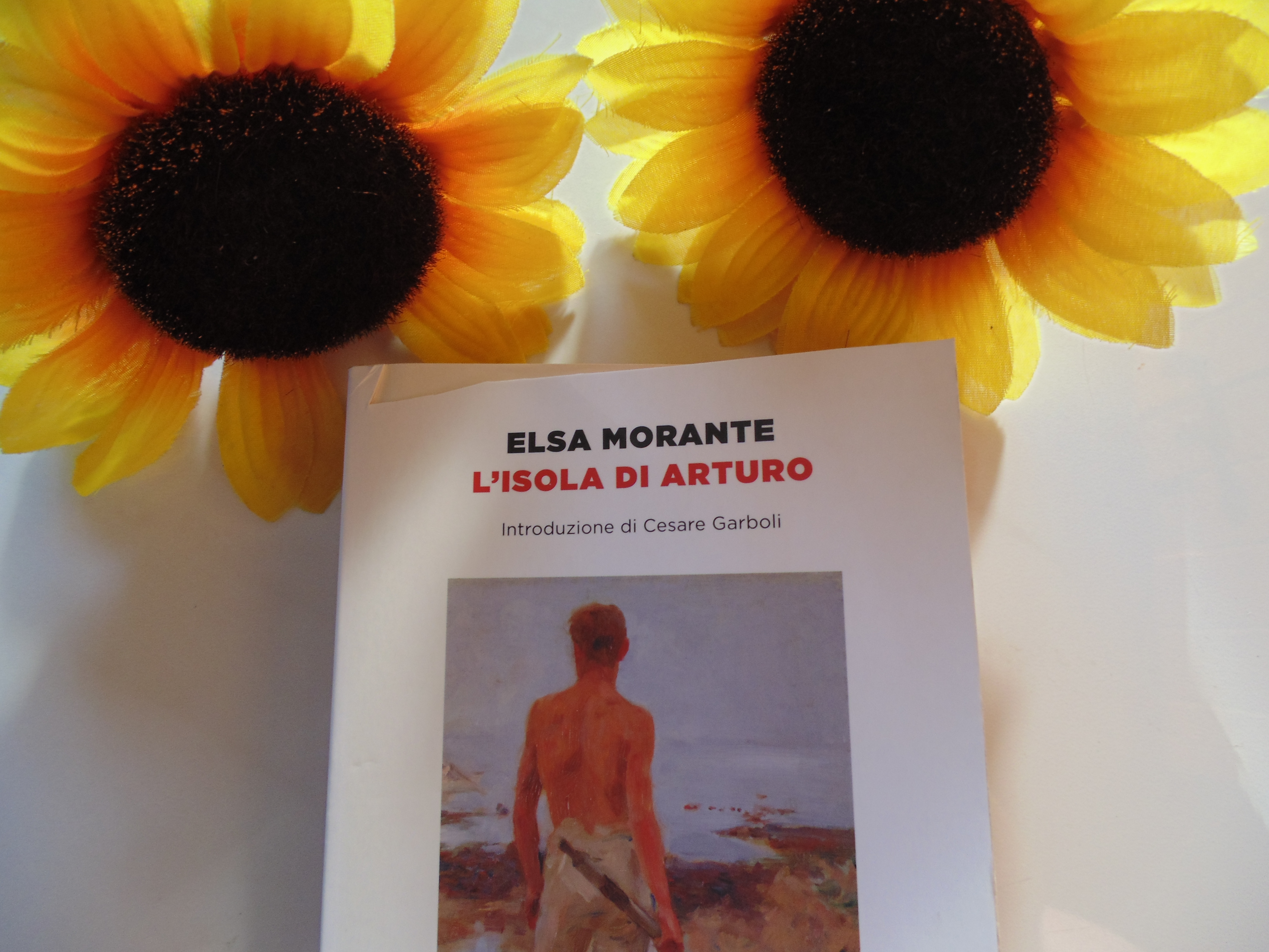 L'isola di Arturo (Elsa Morante) – nunybookblog